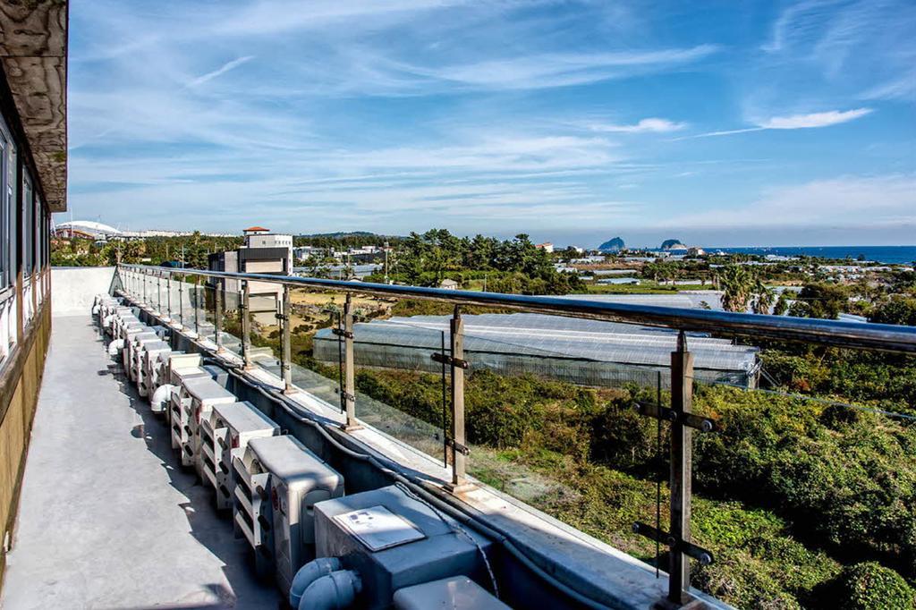 Olleyo Resort Σεογκουίπο Εξωτερικό φωτογραφία