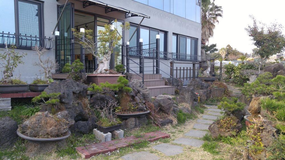 Olleyo Resort Σεογκουίπο Εξωτερικό φωτογραφία