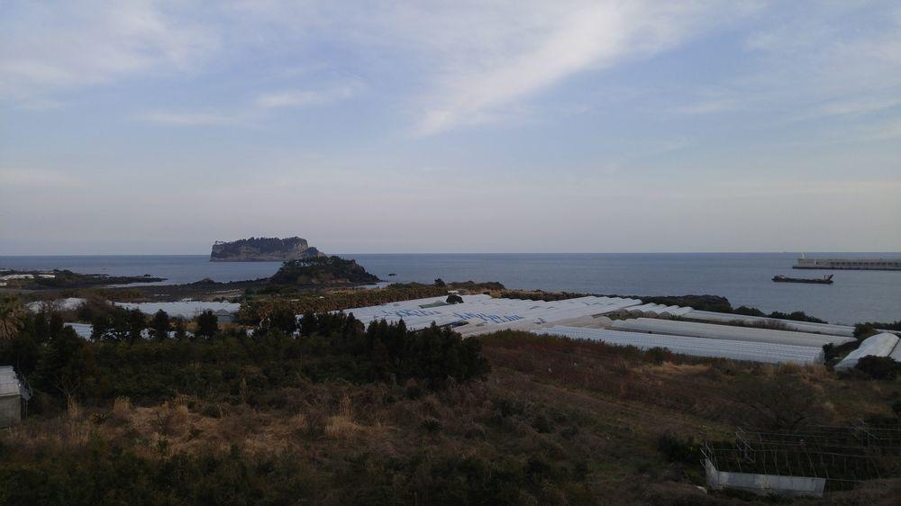Olleyo Resort Σεογκουίπο Εξωτερικό φωτογραφία