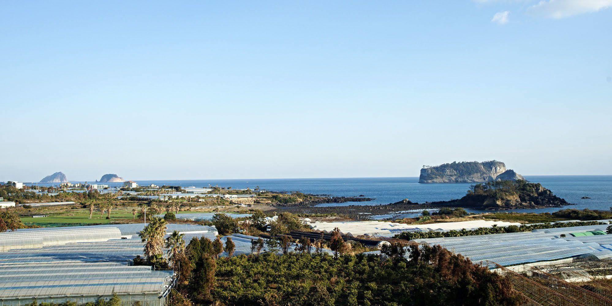 Olleyo Resort Σεογκουίπο Εξωτερικό φωτογραφία